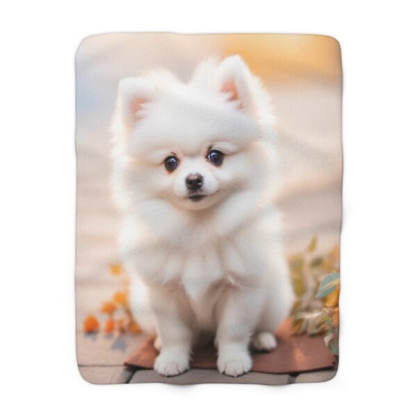 Photo Pet Blanket