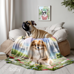 Rainbow Photo Blanket
