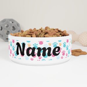 Pet Food Bowl