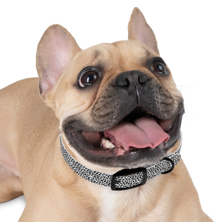 collar - dog