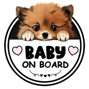 Baby on Board Decal